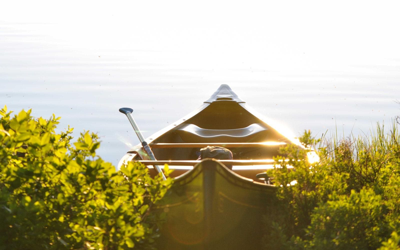 Studio reference photo