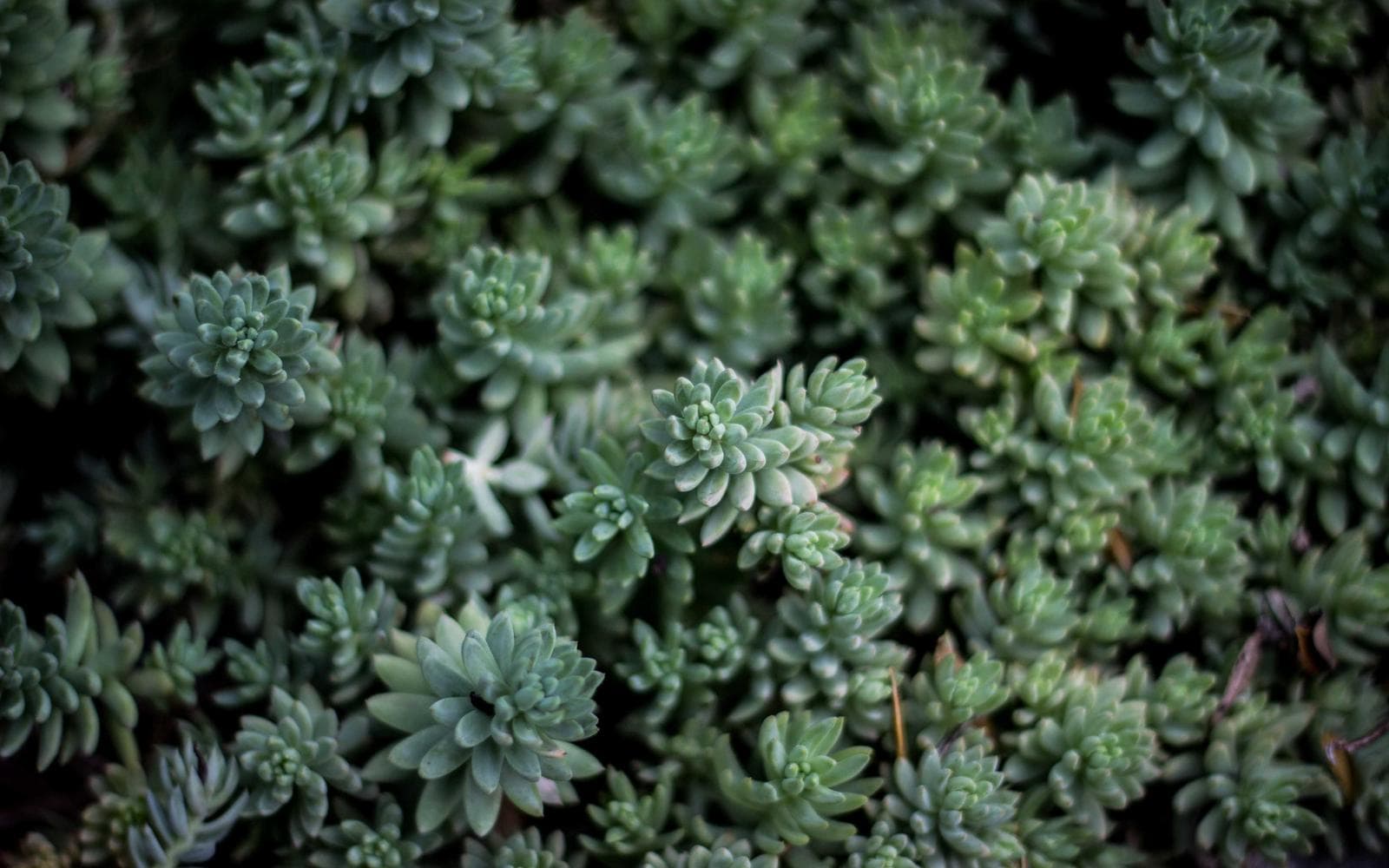 Studio reference photo