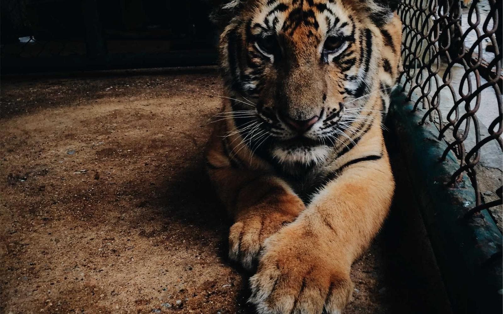 Studio reference photo