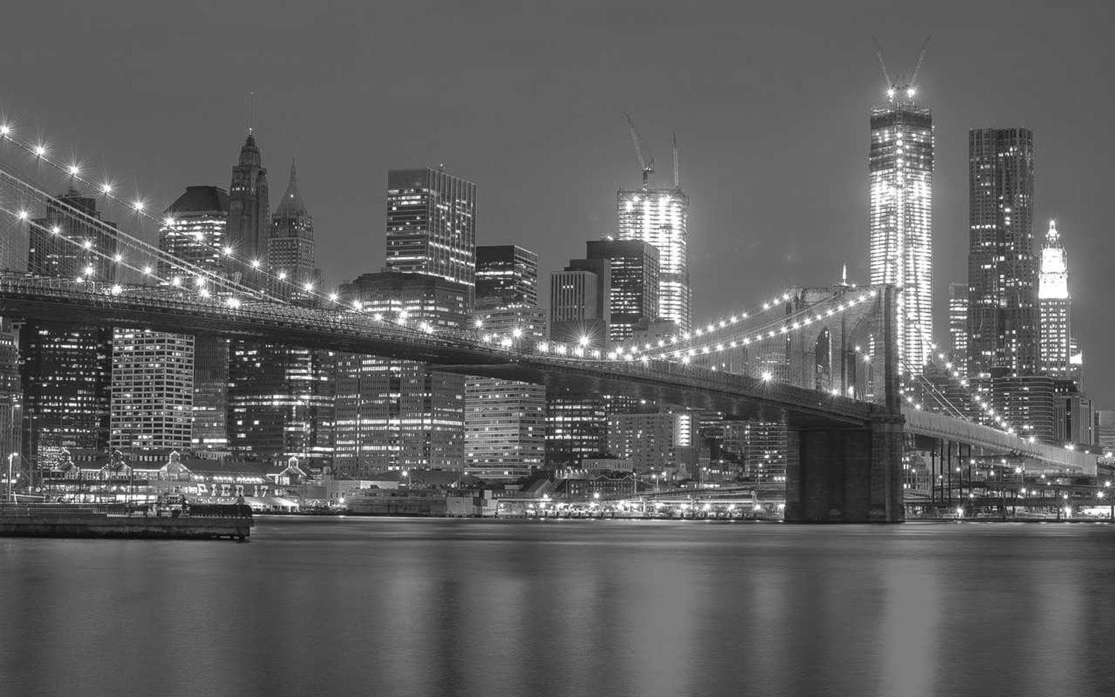 Studio reference photo