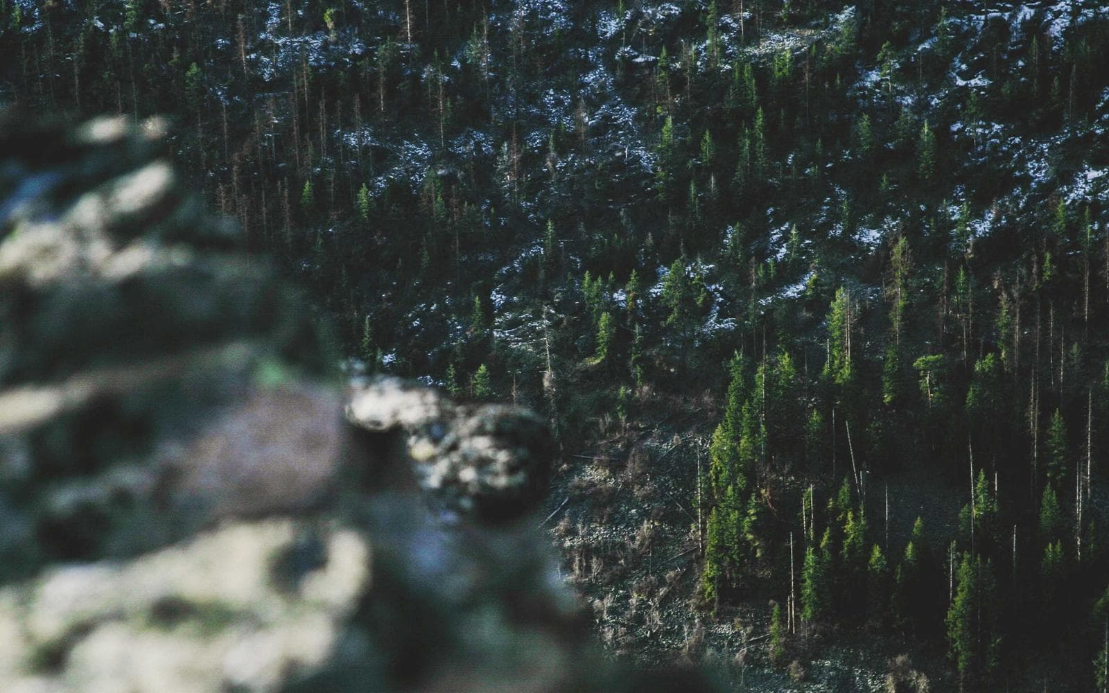 Studio reference photo